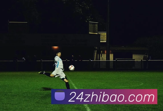 24直播官网平台生态图